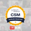 Certified ScrumMaster (CSM) Live-Online 25-28 November 2024